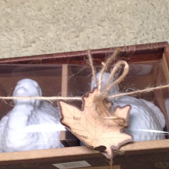 NWOT Turkey/Thanksgiving S&P Shakers; Holiday, Ceramic, Traditional, Thankful - Picture 2 of 5